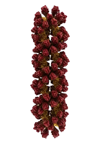 Imagen PNG para descargar